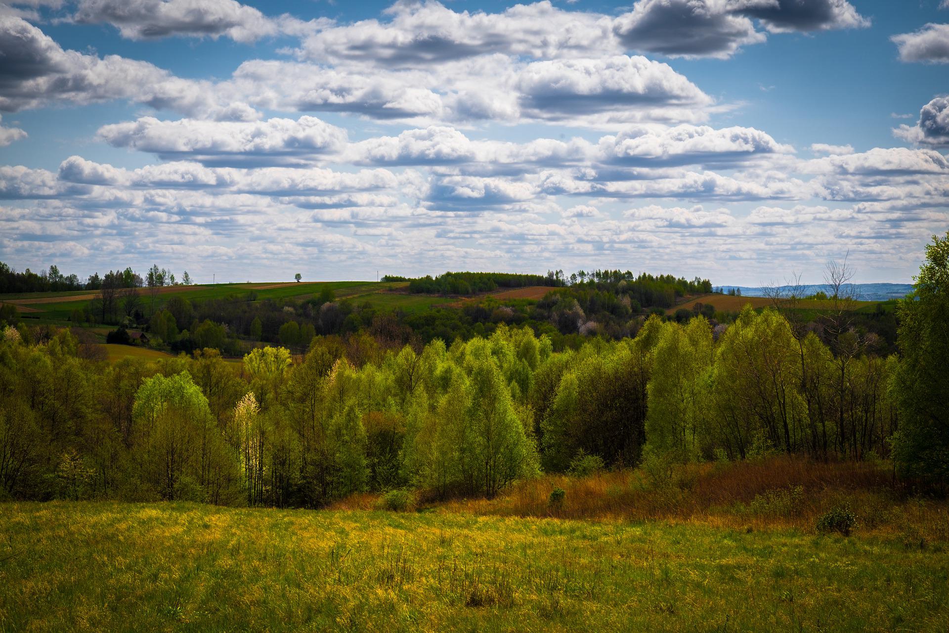 Podkarpaciu